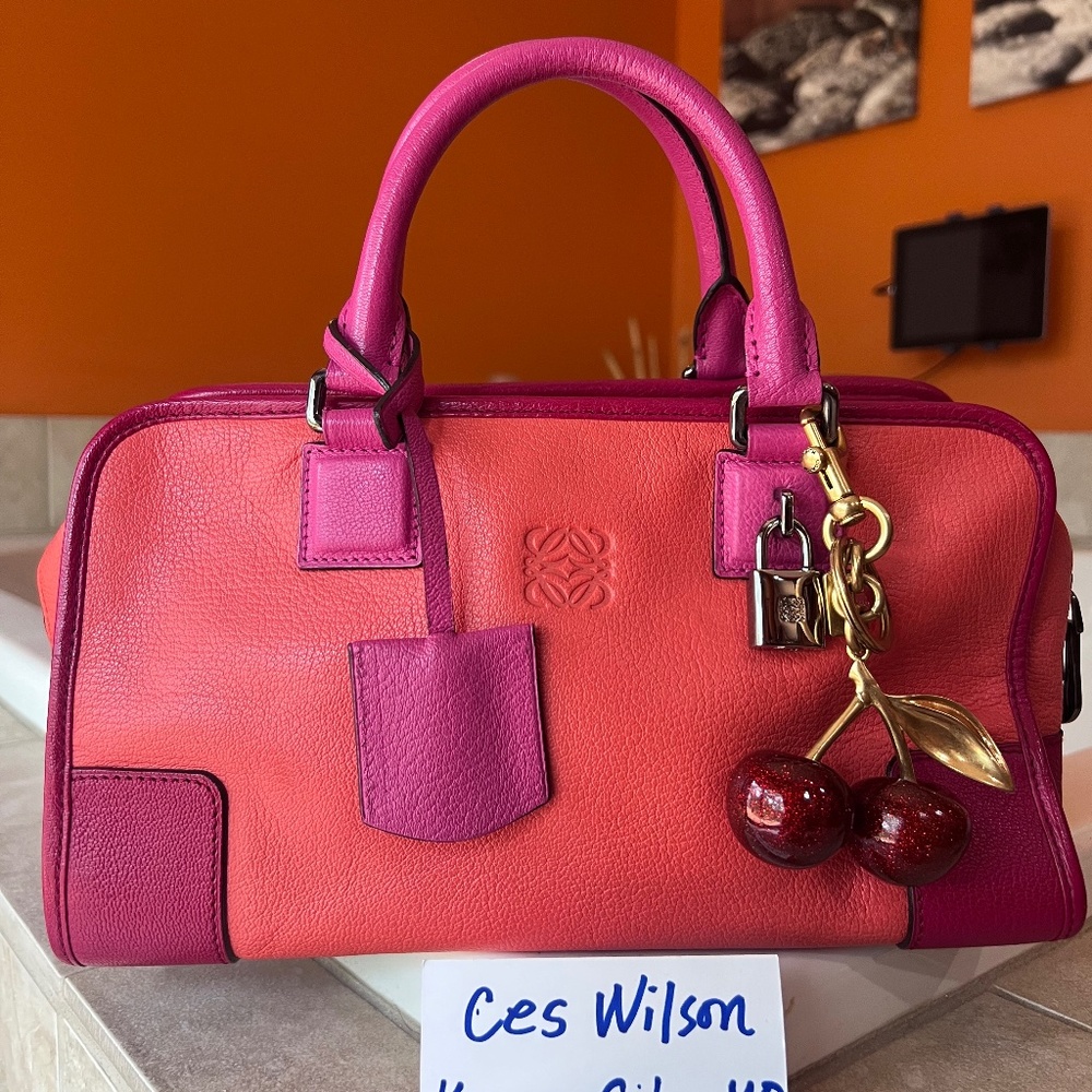 LOEWE Amazona 28 Anagram Tricolor Handbag